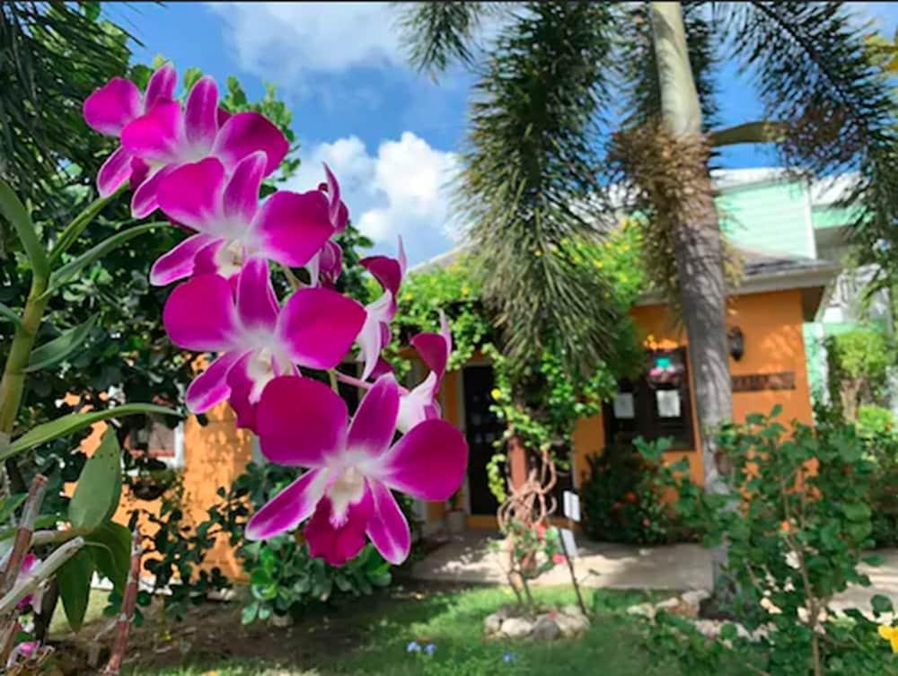 Buccaneer Beach Club Dickenson Bay Zewnętrze zdjęcie