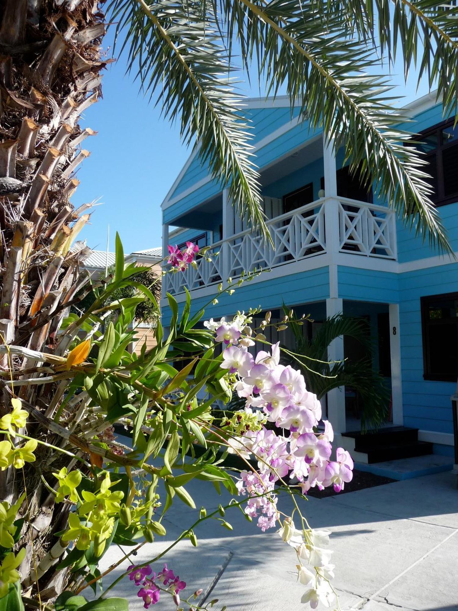 Buccaneer Beach Club Dickenson Bay Zewnętrze zdjęcie