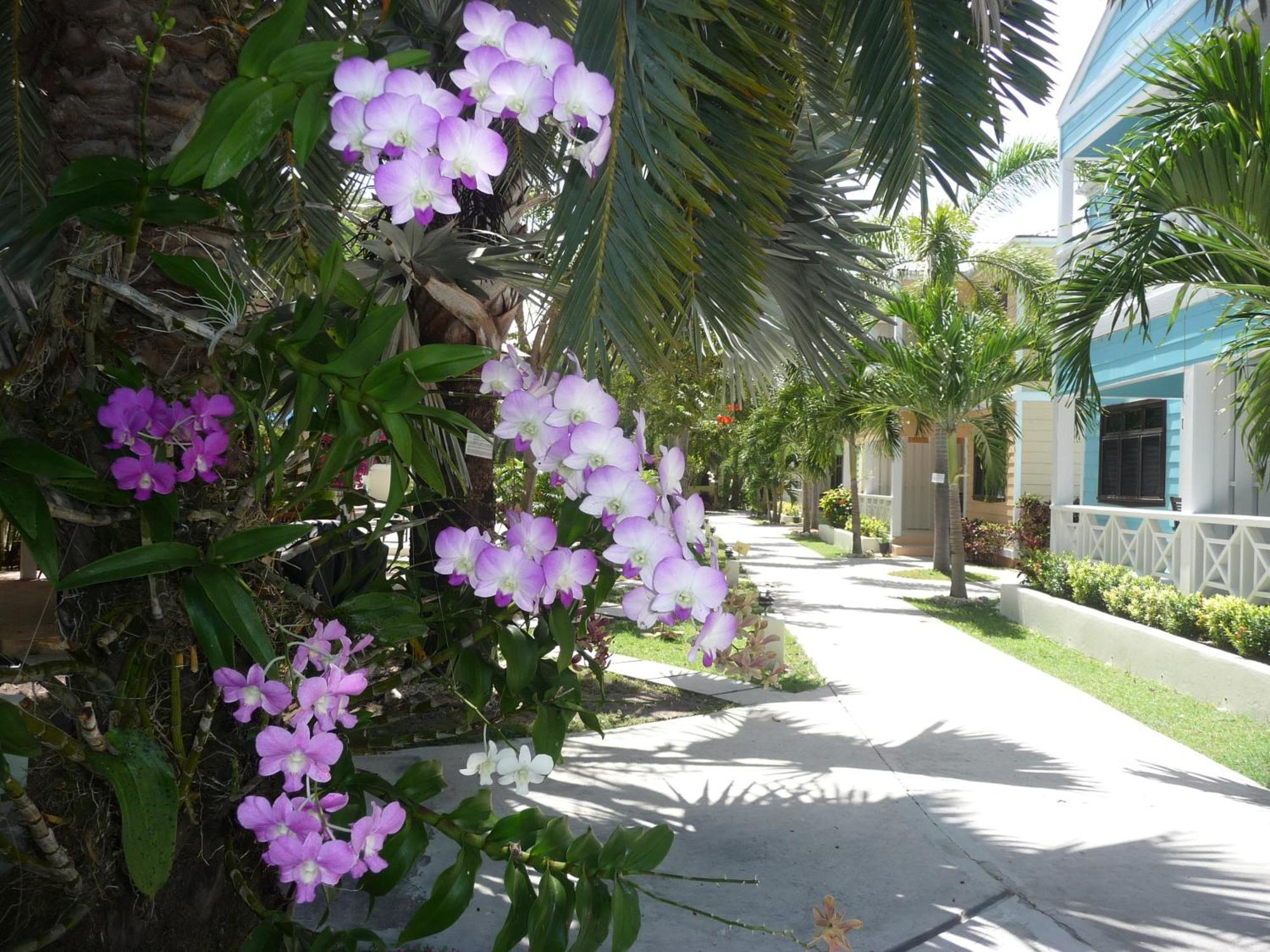 Buccaneer Beach Club Dickenson Bay Zewnętrze zdjęcie
