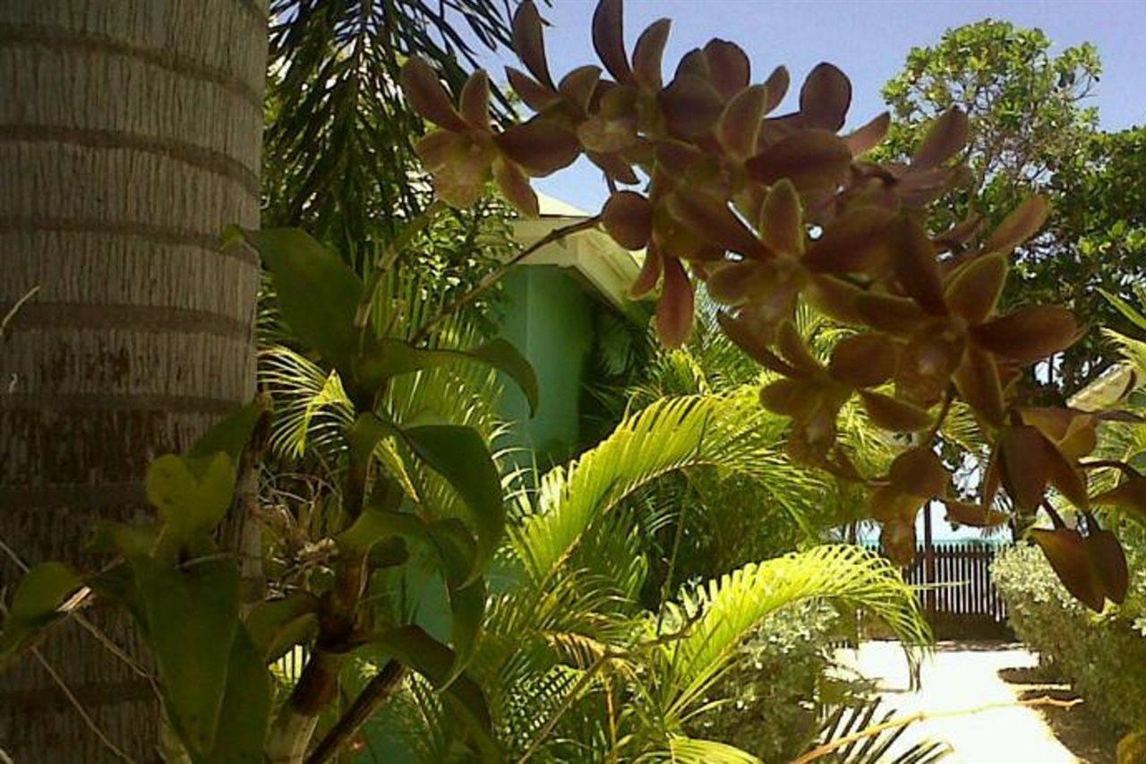 Buccaneer Beach Club Dickenson Bay Zewnętrze zdjęcie