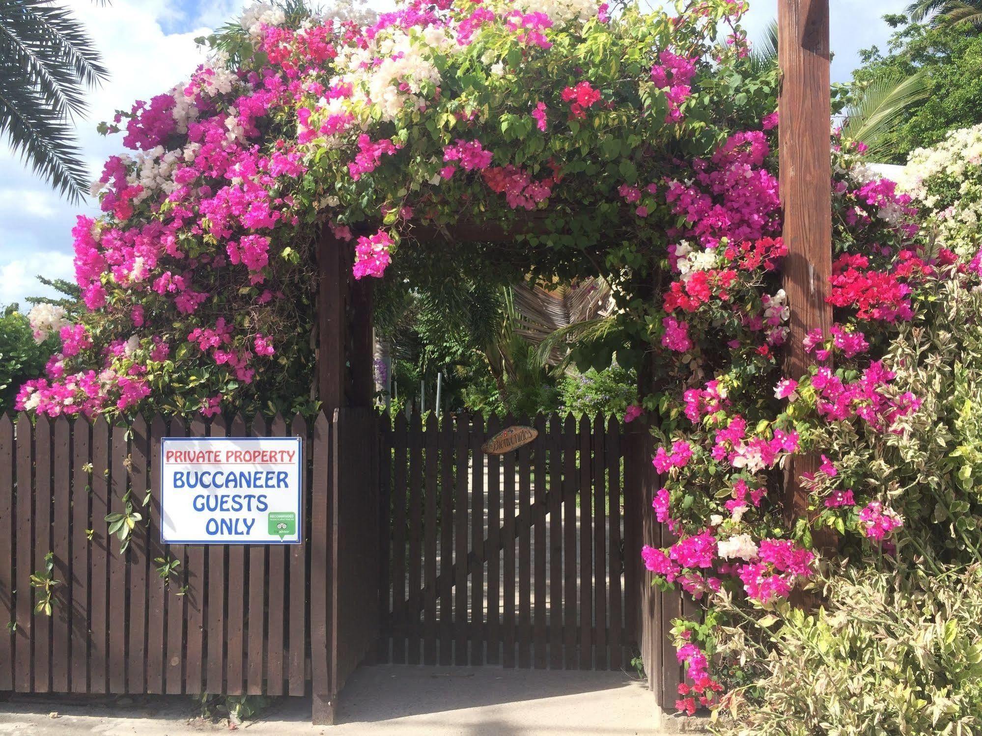 Buccaneer Beach Club Dickenson Bay Zewnętrze zdjęcie